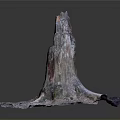 Colorful Tree Stump with Textured Roots Weathered Surface and Natural Patterns