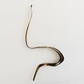 Soft Curved Brown Ribbon on Clean White Background with Flowing Shape
