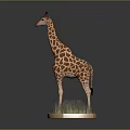 Giraffe 3D Model Standing On Circular Base With Grass And Grey Background