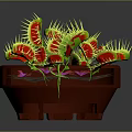 Venus flytrap plant in red pot with green leaves yellow spines and red interior against dark background