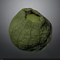 Fresh Green Fruit With Cracked Surface And Hollow Light Green Interior