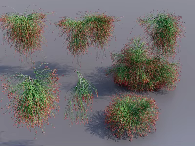 Green And Red Foliage Garden Shrubs With Various Natural Shapes And Soft Shadows 3d model