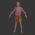 Mannequin Wearing Red Decorative Belt And Red Fabric In Standing Position With Ornate Details