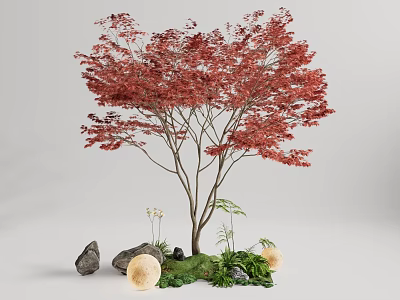Vibrant Red Leaf Tree Garden Ornament With Stones Green Plants And Round Decorations 3d model