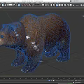 Brown Bear Wearing Collar Standing On Gray Surface In Studio