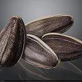 Dark Purple Sunflower Seeds With White Edges Arranged On Dark Background