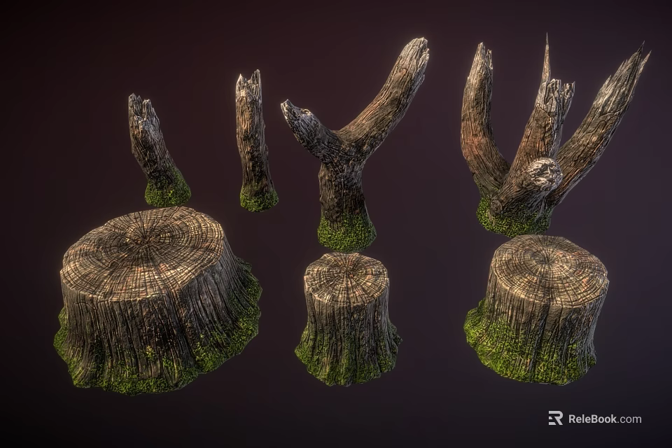 Natural Wooden Stumps With Green Moss And Tree Branches For Decorative Design Elements 3d model 