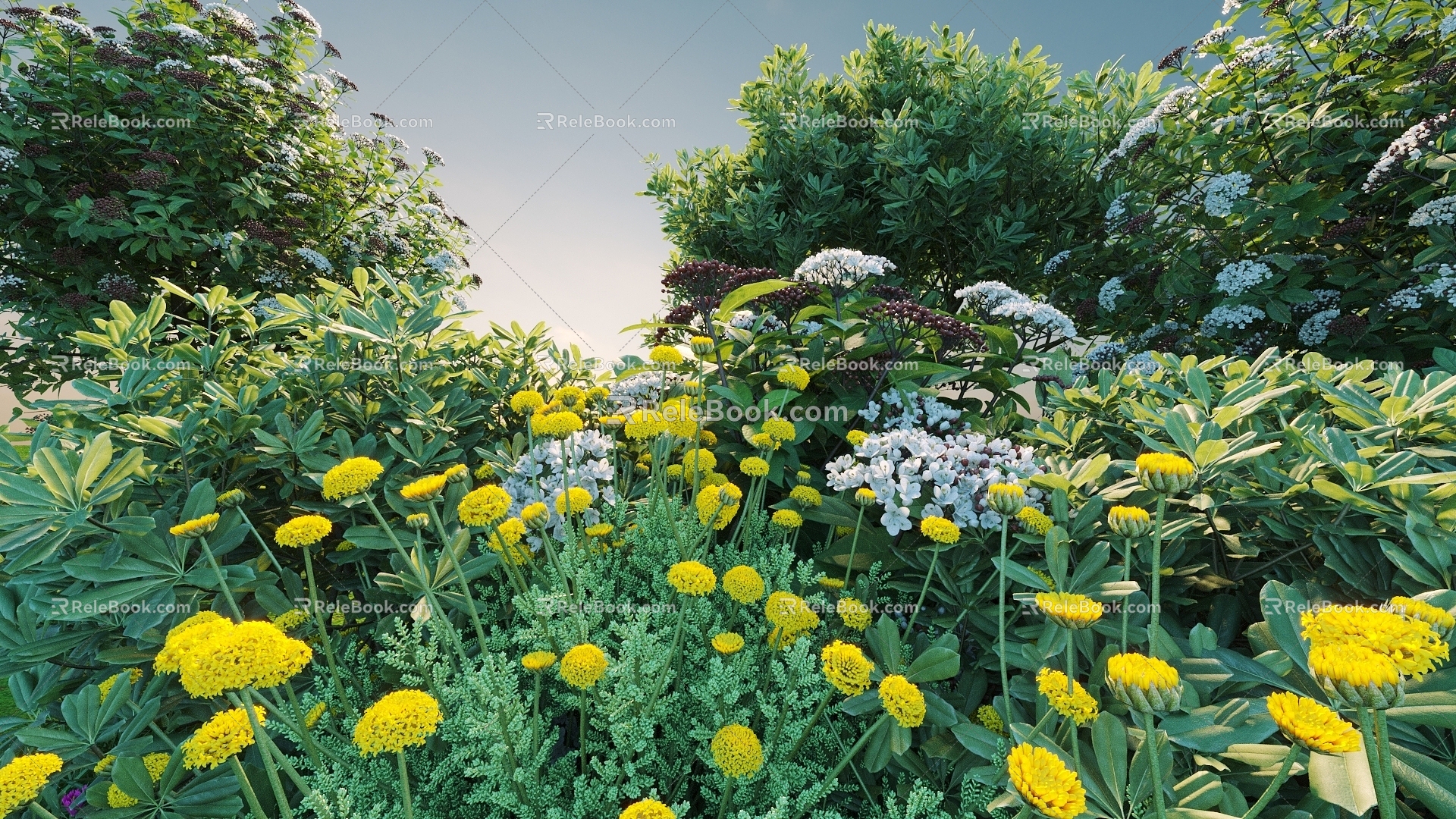 Flowers and plants combination landscape shrubs shrubs plant combination natural landscape flowers 3d model