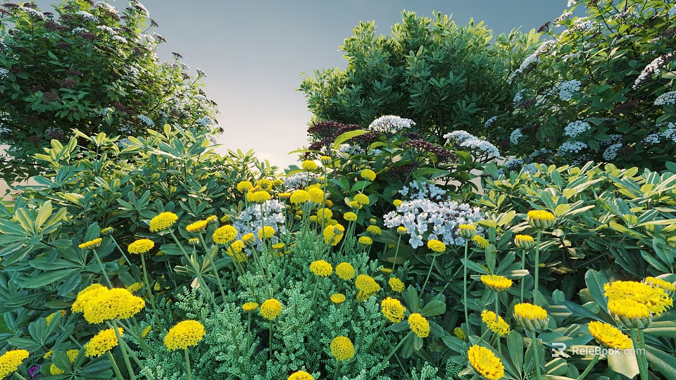 Blooming Bush With Yellow And White Flowers And Green Leaves In Garden 3d model 