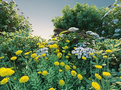 Blooming Bush With Yellow And White Flowers And Green Leaves In Garden 3d model