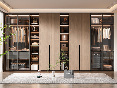 Modern wardrobe 3d model