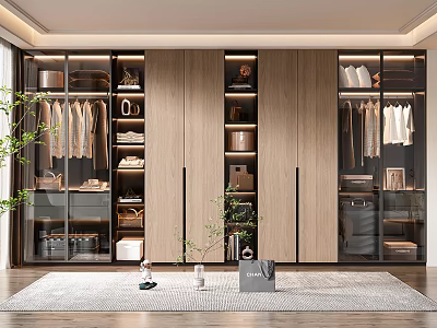 Modern Open Wardrobe Interior Design With Wooden Panels Hanging Rails And Drawers 3d model