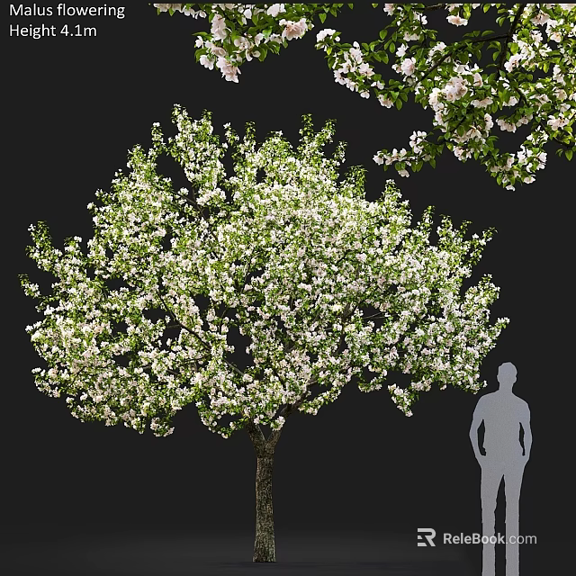 Garden Ornament Featuring Lush Blooming Tree With White Flowers And Person Silhouette 3d model 