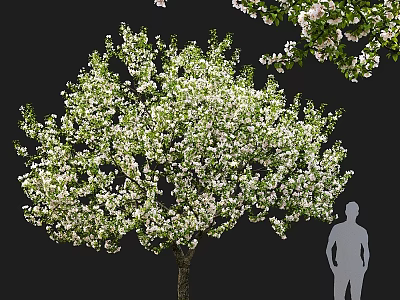 Garden Ornament Featuring Lush Blooming Tree With White Flowers And Person Silhouette 3d model