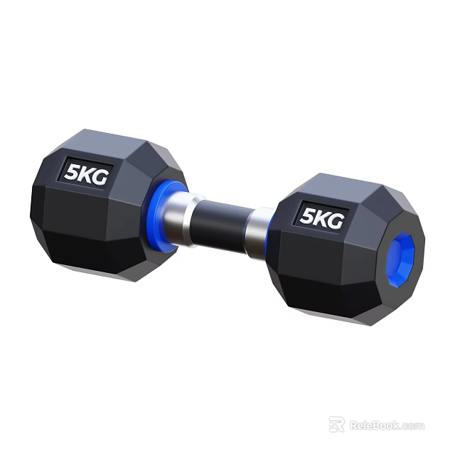 5KG Black Dumbbell With Blue Handles For Home Fitness Exercise Equipment 3d model 