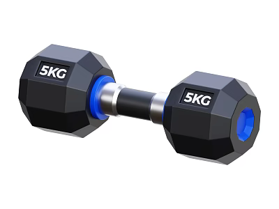 5KG Black Dumbbell With Blue Handles For Home Fitness Exercise Equipment 3d model