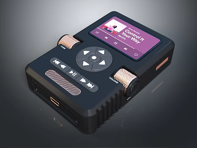 Portable Black Digital Audio Recorder With LCD Screen Control Buttons For Concert Recording 3d model