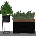 Green Leafy Bonsai Potted Plants In Marble And Wooden Planters With Metal Stand