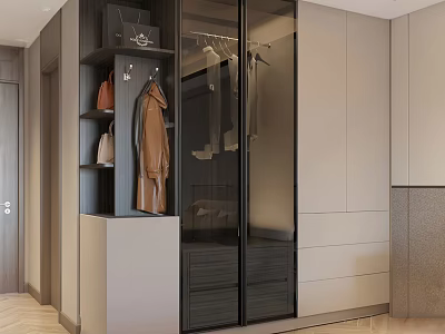 Modern Wardrobe Interior Design with Glass Doors Hanging Area and Storage Drawers 3d model