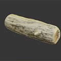 Natural Wooden Log with White Coated Surface and Detailed Texture on Reflective Background