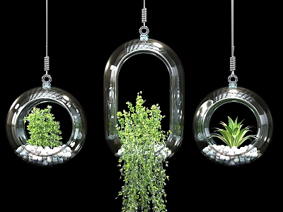 Transparent Glass Hanging Planters with Green Plants and White Pebbles in Different Shapes 3d model
