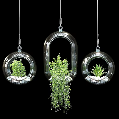 Transparent Glass Hanging Planters with Green Plants and White Pebbles in Different Shapes 3d model