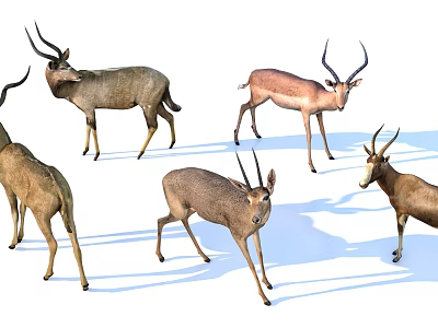 Group of Antelopes in Various Poses and Colors on White Background 3d model