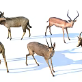 Group of Antelopes in Various Poses and Colors on White Background