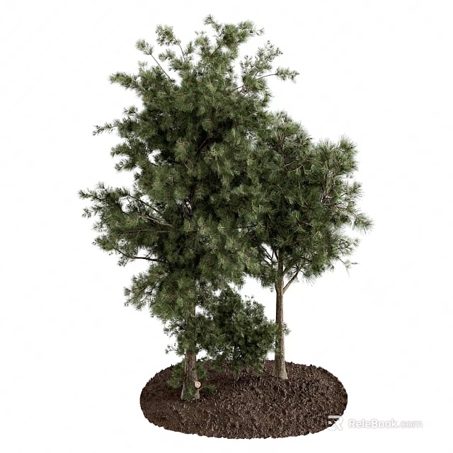 Two Arbors with Lush Green Foliage and Sturdy Trunk Growing in Fertile Soil 3d model 