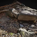 Wood And Stone Natural Materials With Rough Texture In Outdoor Scenery Elements