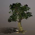 Lush Green Tree With Thick Trunk Exposed Roots And Dense Foliage 3d model