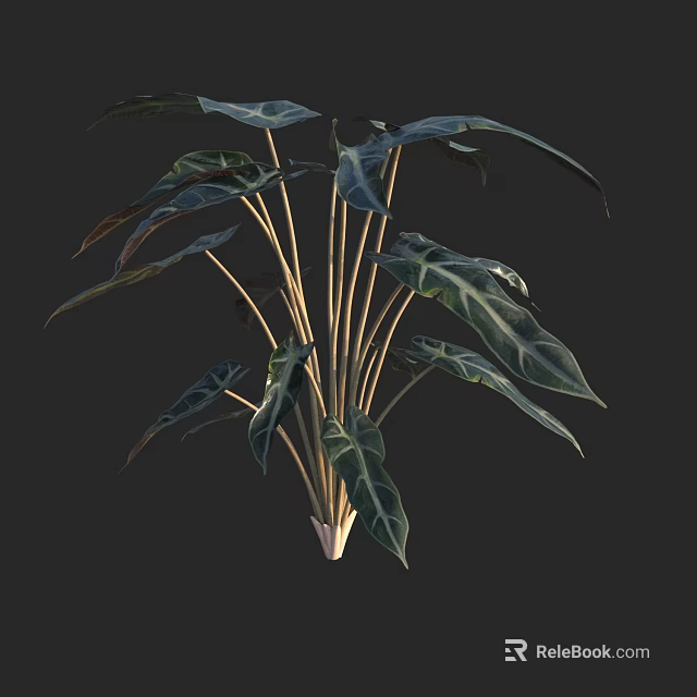 Leafy Indoor Plant With Large Dark And Light Veined Leaves And Yellow Stems 3d model 