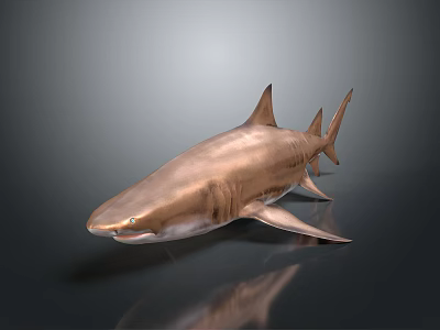 Realistic Copper Shark 3D Model on Gray Background with Reflection 3d model