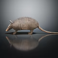 Reptile Armadillo With Scaly Shell Standing On Black Surface With Reflection