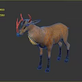 Orange Antelope With Black Horns Standing On Gray Background And Light Colored Neck