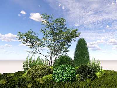 Different Shaped Green Shrubs Growing With Various Plants Under Blue Sky 3d model