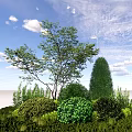 Different Shaped Green Shrubs Growing With Various Plants Under Blue Sky