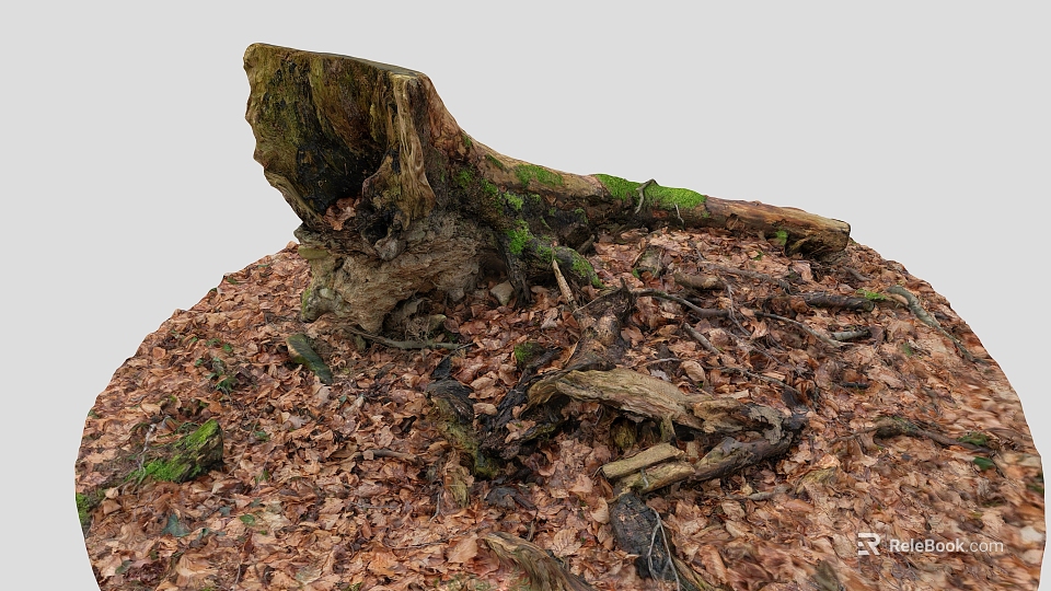 Tree Stump Covered with Green Moss Surrounded by Fallen Leaves and Dead Branches 3d model 