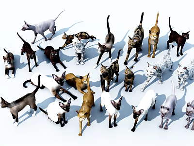 Various Colorful Reptiles In Different Poses And Species On White Background 3d model