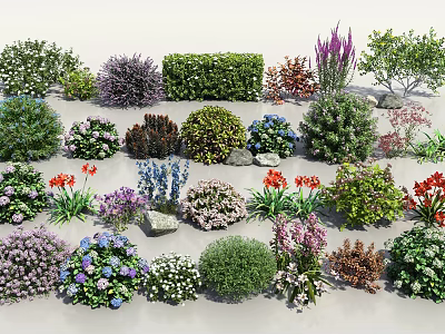 Various Colorful Flowering Shrubs Different Types And Sizes For Garden Landscape Outdoor Plant Arrangement 3d model