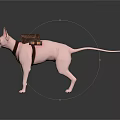 Pink Sphynx Cat Wearing Brown Backpack With Black Flashlight Accessory