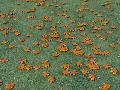 Garden Decorative Scene with Green Grass and Scattered Orange Maple Leaves 3d model