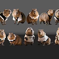 Adorable Reptiles Wearing Different Outfits Posing Together in Studio