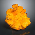 Vibrant Orange Yellow Edible Plant With Ruffled Edges On Gray Background