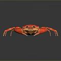 Vibrant Red Crab Aquatic Creature with Detailed Claws on Dark Background