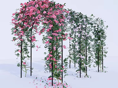 Arched Flower Covered Pergola With Pink And White Blooms And Climbing Vines 3d model