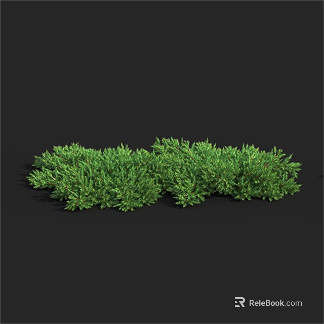 Lush Green Shrubs With Dense Foliage Ideal For Garden Landscaping And Outdoor Decoration 3d model 