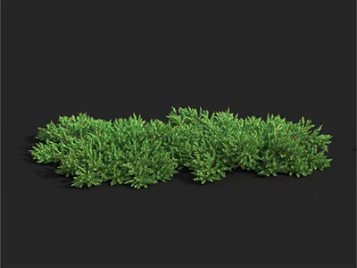 Lush Green Shrubs With Dense Foliage Ideal For Garden Landscaping And Outdoor Decoration 3d model