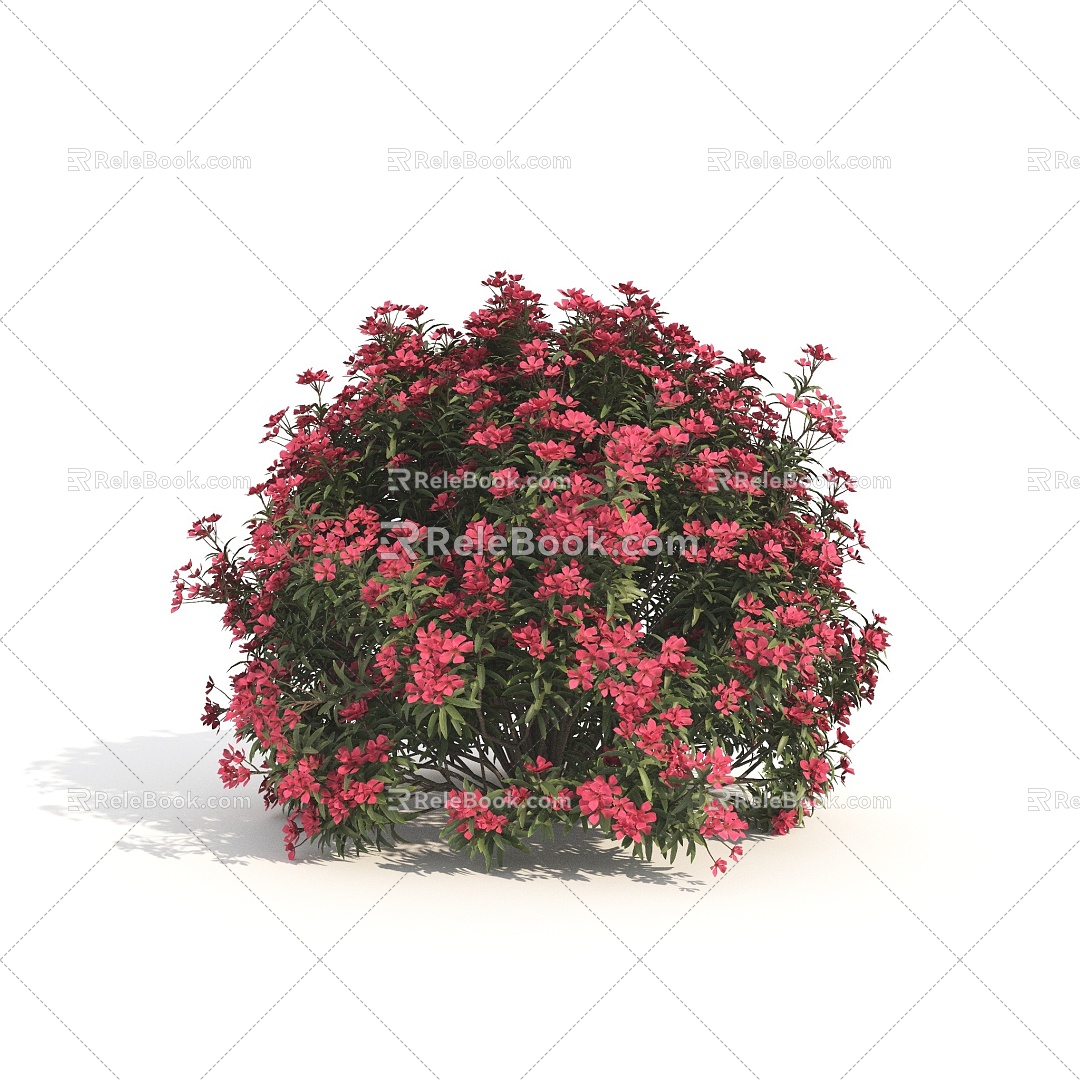 plants shrubs flowers flowers and plants 3d model