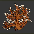 Vibrant Orange And White Branching Marine Coral Structure In Underwater Scene